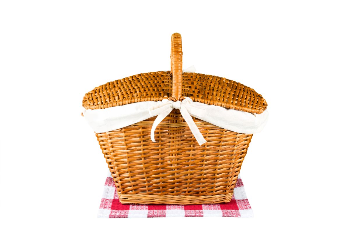 Funny No Backpack Day Ideas - Picnic Basket