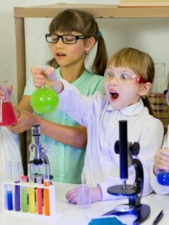 Easy Science Experiments For Students
