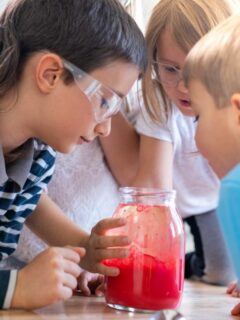 1st Grade Science Projects To Do At Home